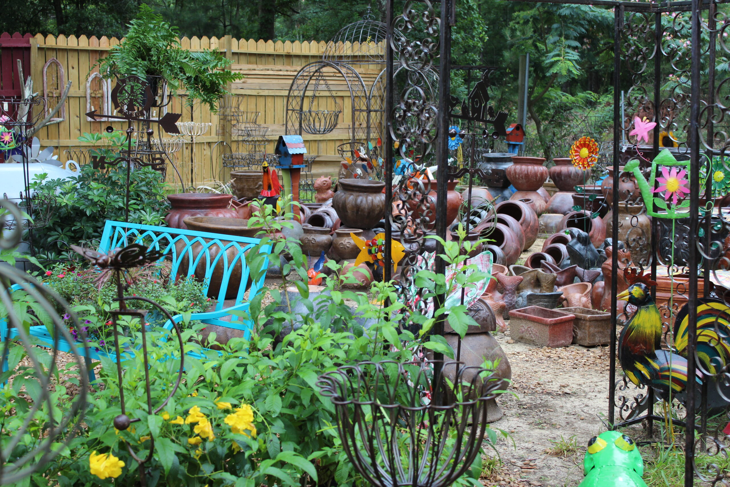 Variety Donna’s Produce